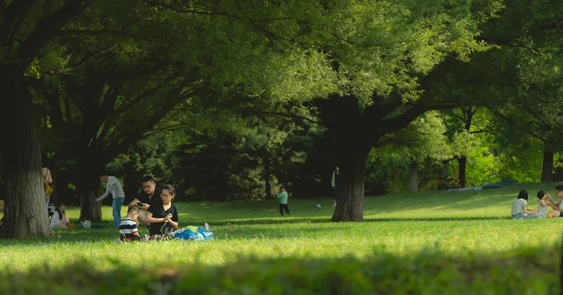Activités plein air en famille : ce qui marche vraiment