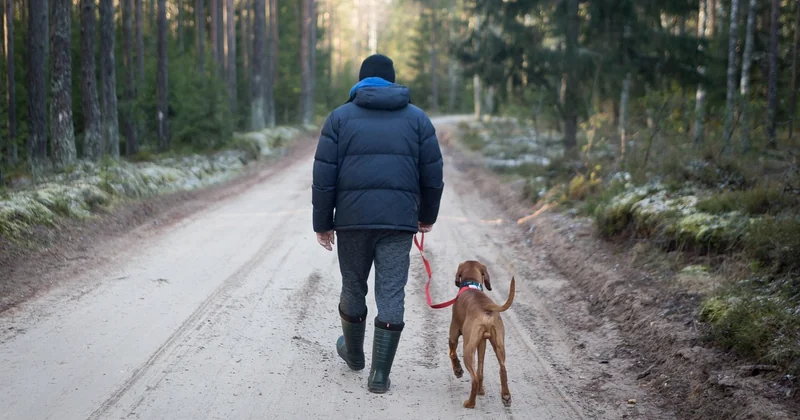 Quelles activités de plein air choisir pour les adultes en camping ?